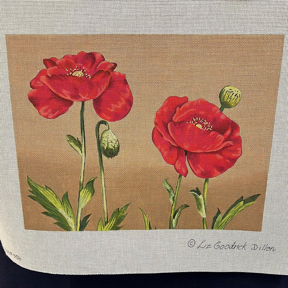 LGDP506 - Two Red Poppies