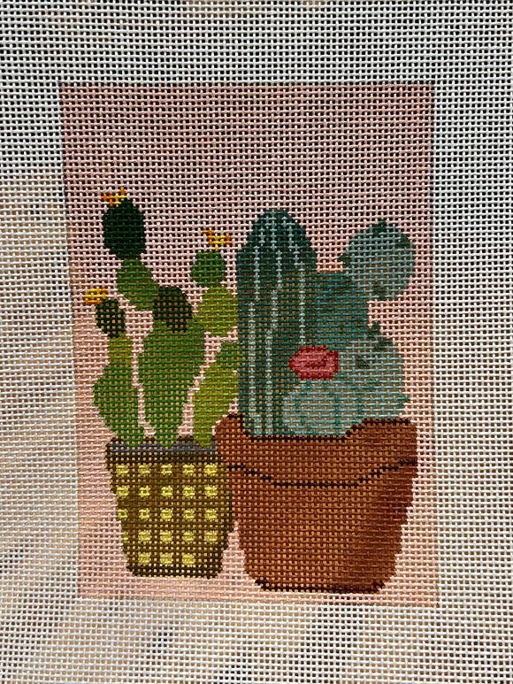 Two Succulents