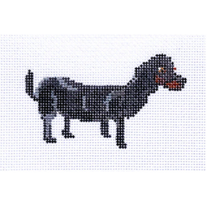 Dachshund