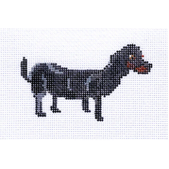 Dachshund