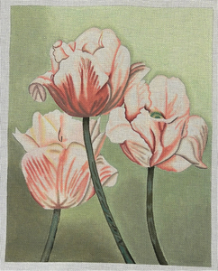 TTAP417 - Pink Tulips