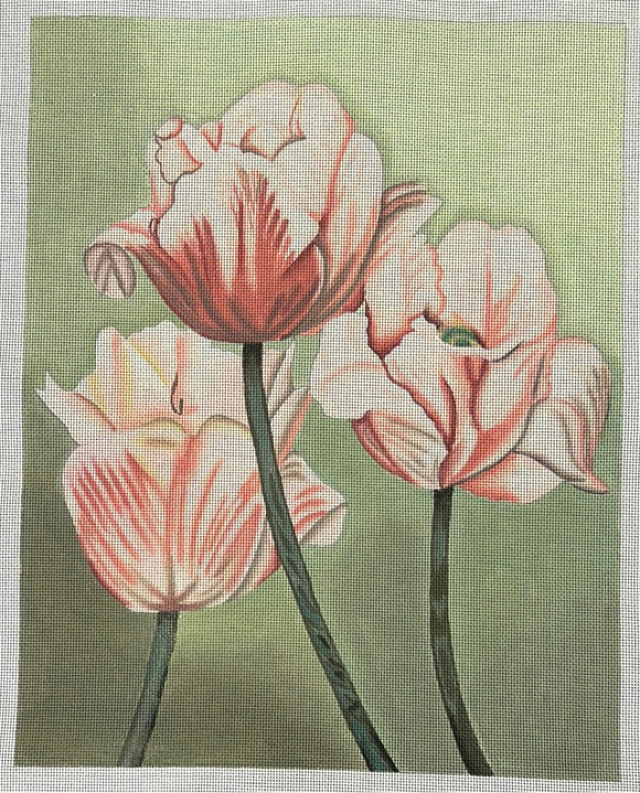 TTAP417 - Pink Tulips