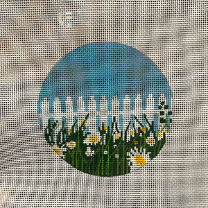 Daisies by Picket Fence - May Flowers