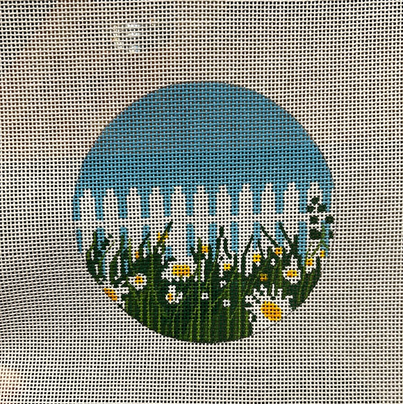 Daisies by Picket Fence - May Flowers