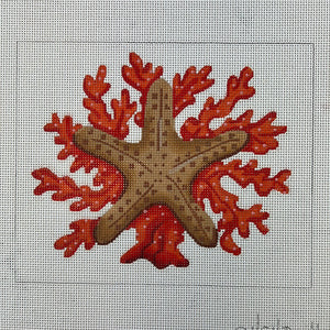 KDTS Apr24 - Starfish w/ Coral – natural colors , SKU #PL-515