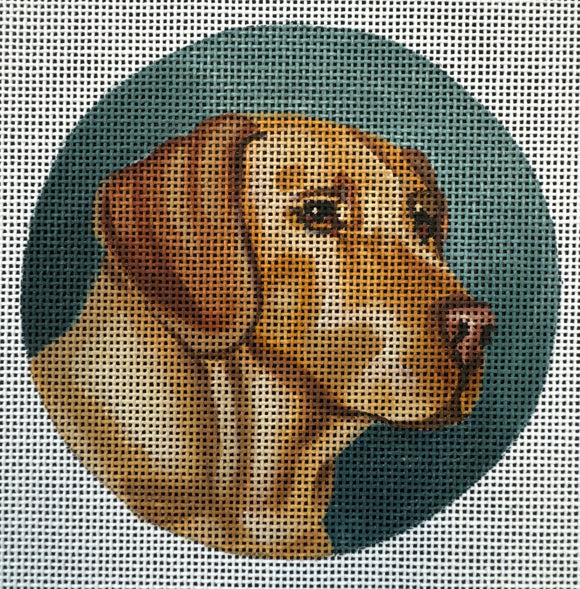 TTASP168 - Golden Lab on Teal Green