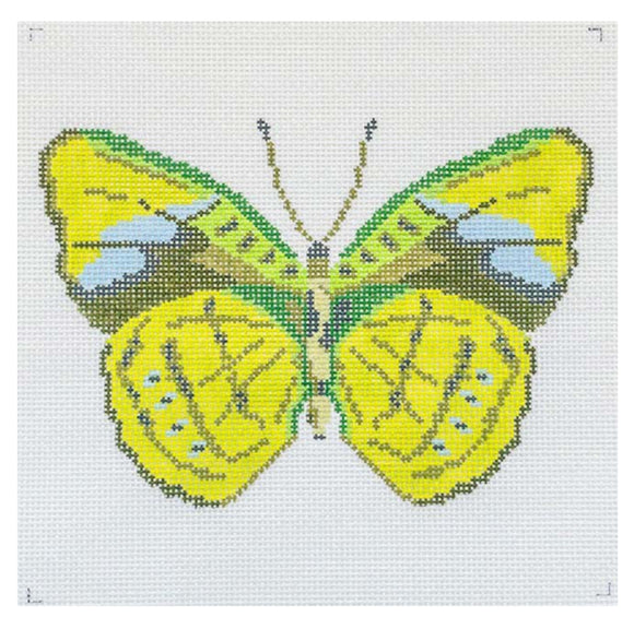 Green Butterfly - 13 Mesh