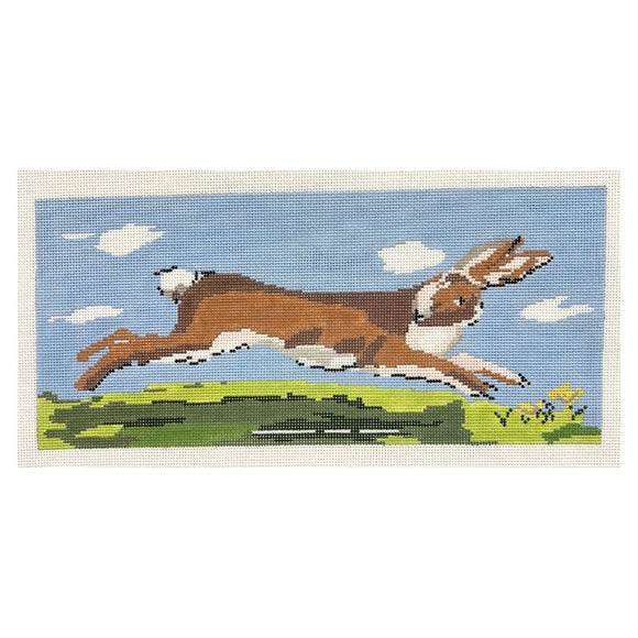 Brown Bunny Leaping