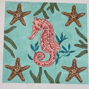 Seahorse - APTS Feb24