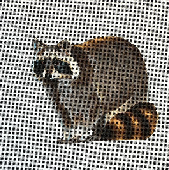 LGDSP417 - Raccoon