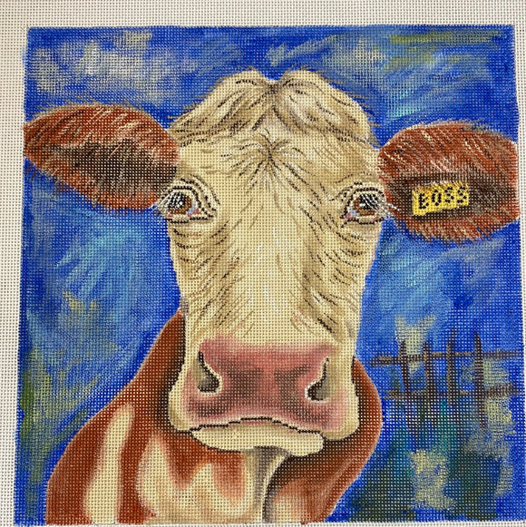 Cow   - APTS Feb24