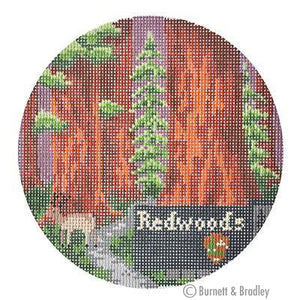 BB 6142 - Explore America - Redwoods - KBTS Sep23