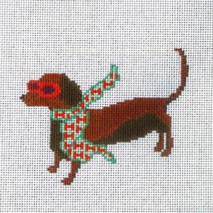 Bougie Dachshund