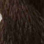 Vineyard Silk by Wiltex (C-113 CHOCOLATE)