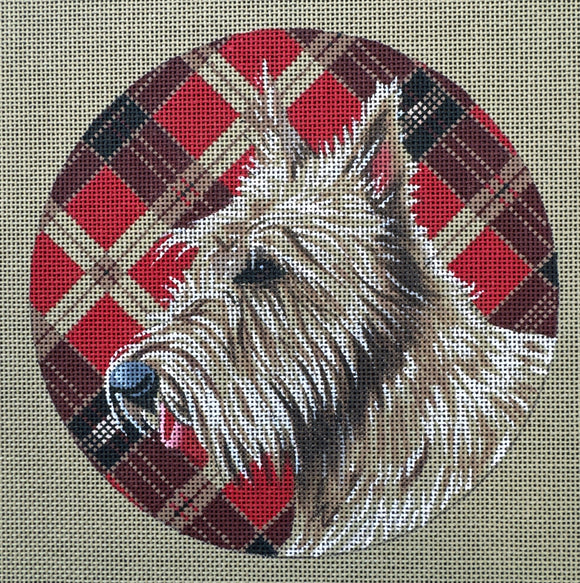 TTASP319 - White Scottie