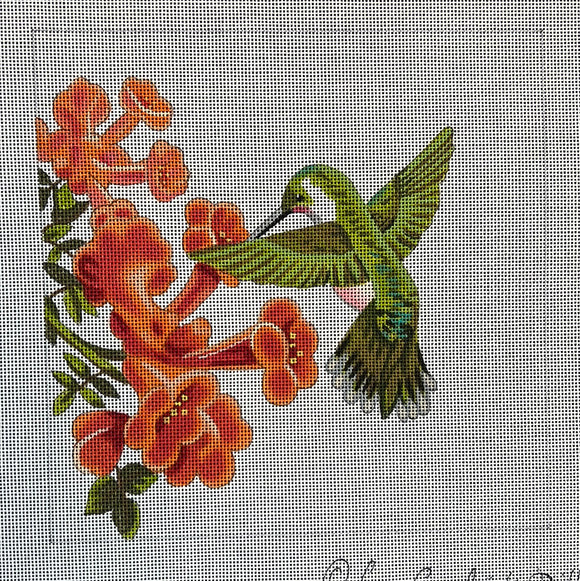 LGDSP408 - Hummingbird in Trumpet Vine