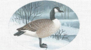 Canada goose web kits best sale