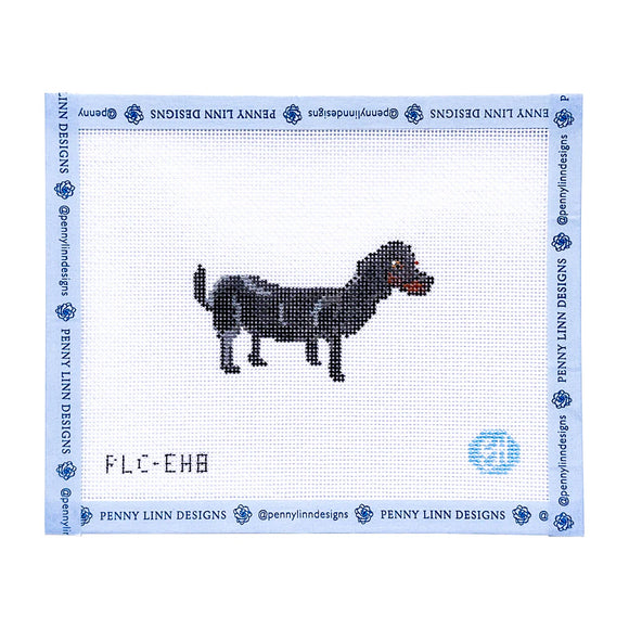 PLDTS Dachshund