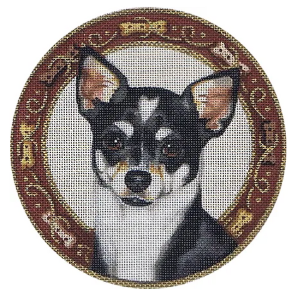 TTASP239 - Tri Color Chihuahua