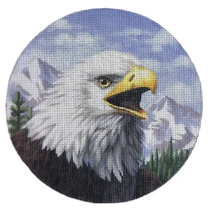 TTASP317 - Bald Eagle