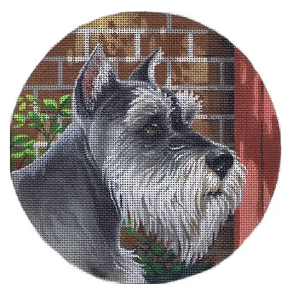 TTASP301 - Miniature Schnauzer