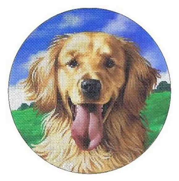 TTASP300 - Golden Retriever