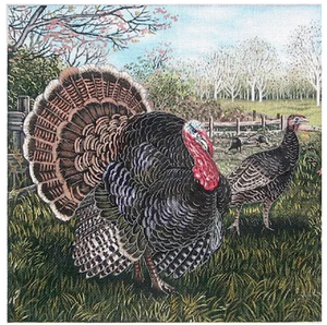 LGDP505 - Turkeys