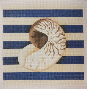 Nautilus shell square/stripes