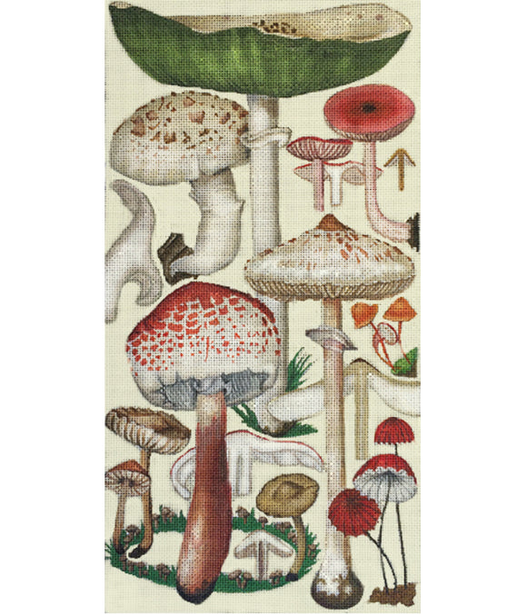 Green Mushroom
