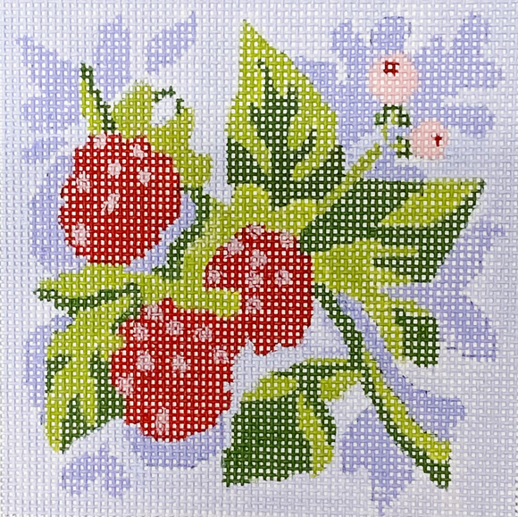 Raspberries Square
